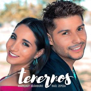 Tenernos (feat. Raul Zepeda)