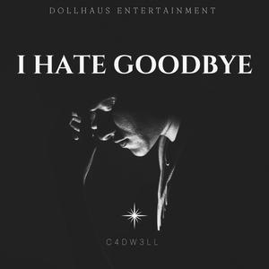 I Hate Goodbye