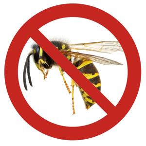 POZNAJ OSE (Explicit)