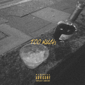 Too Much (Explicit)