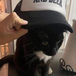 sftw 2 (feat. Relooo!) (Explicit)