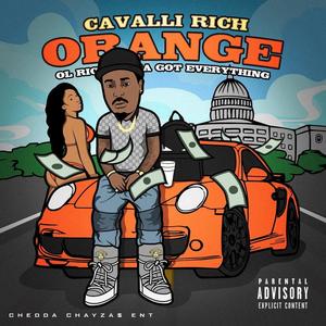 ORANGE OL RICH ASS NIGGA GOT EVERYTHING (Explicit)