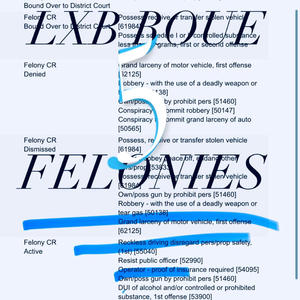 5 FELONIES (Explicit)