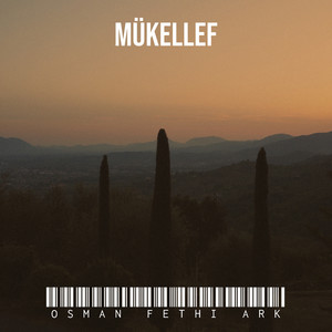 Mükellef