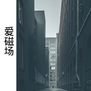真爱冒险封面
