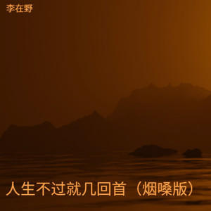 人生不过就几回首 (烟嗓版)