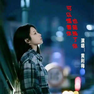 可以惯着你也能换了你 (DJ版)