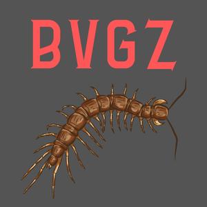 BVGZ (Explicit)