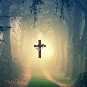 The Light In The Dark