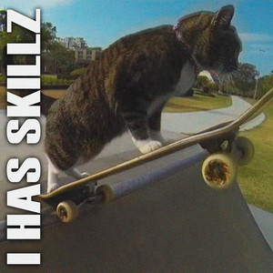 I HAS SKILLZ (Explicit)