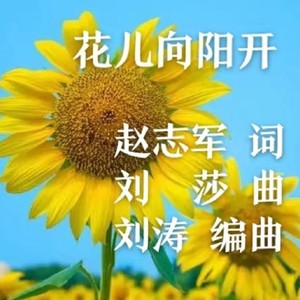 刘涛 - 花儿向阳开