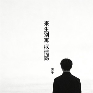 来生别再成遗憾封面