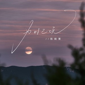为时已晚(越大越觉孤单)-陈婉菁