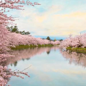 metal jacket (Explicit)