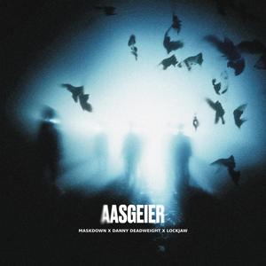 Aasgeier (Explicit)