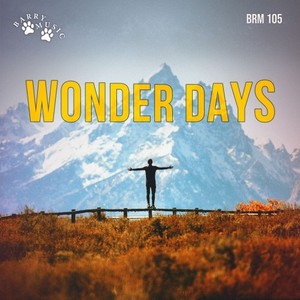 Wonder Days