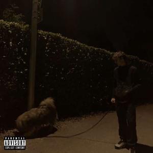 Bozon (Explicit)