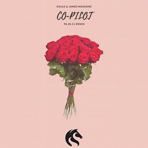 Co-Pilot (98.20.11 Remix)