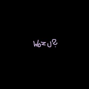 wozu? (Explicit)