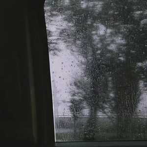 六月的雨w