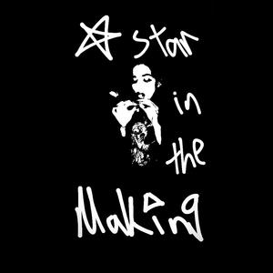 STAR IN THE MAKING (Explicit)