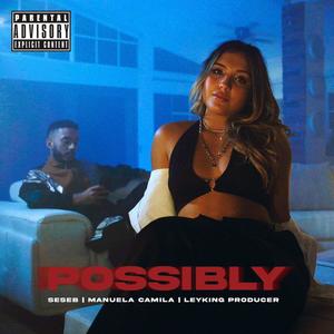 POSSIBLY (feat. Seseb) [Explicit]