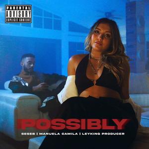 POSSIBLY (feat. Seseb) (Explicit)