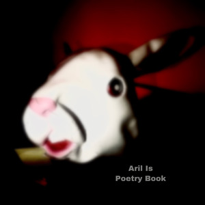 Poetry Book