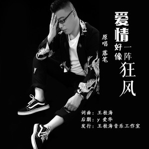 爱情好像一阵狂风