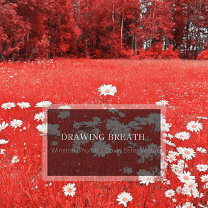 Drawing Breath