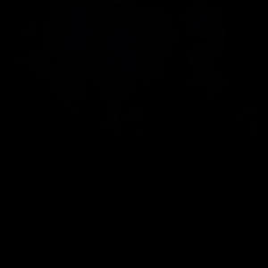 feature (feat. LILEJLOWW) (Explicit)