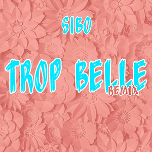 Trop belle (Remix)