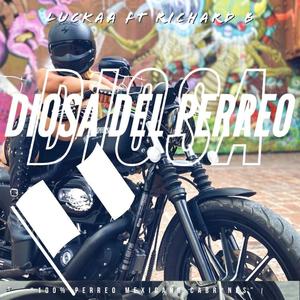 Diosa del perreo(feat. Richard B) (Explicit)