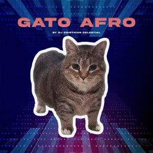 Gato Afro