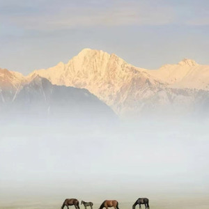 潇洒是我的天性