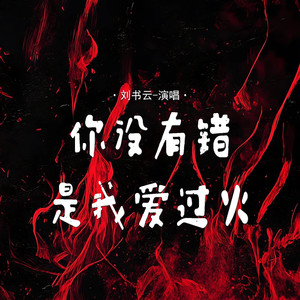 你没有错是我爱过火 (DJ豪大大版)封面