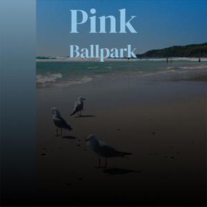 Pink Ballpark