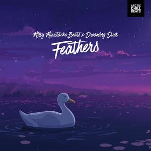 Feathers (feat. Dreaming Duck)