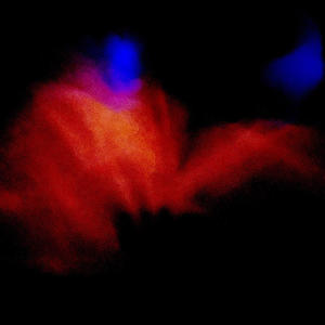 fool me once (Explicit)