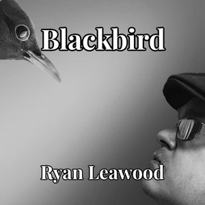 Blackbird