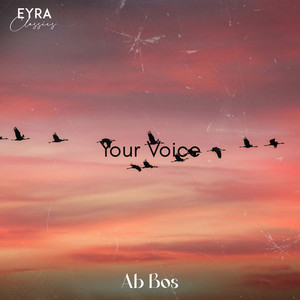 Your Voice