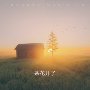 茶花开了-侯诗沅