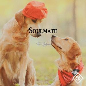 Soulmate