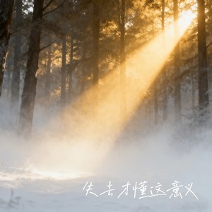 失去才懂这意义