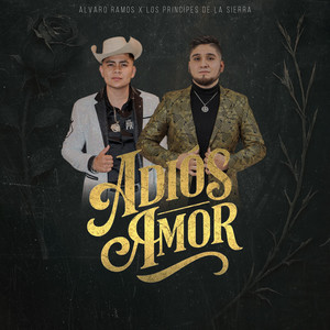 Adiós Amor