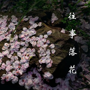 往事落花