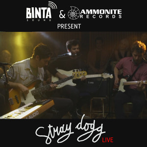 Binta Sound Presents: Stray Dogg (Live)