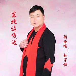 东北这嘎达 (DJ默涵版)