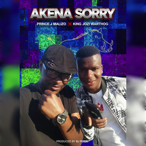 King Jozi Warthog - Akena Sorry (Explicit)