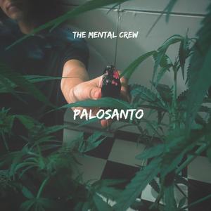 Palosanto (feat. Danya)